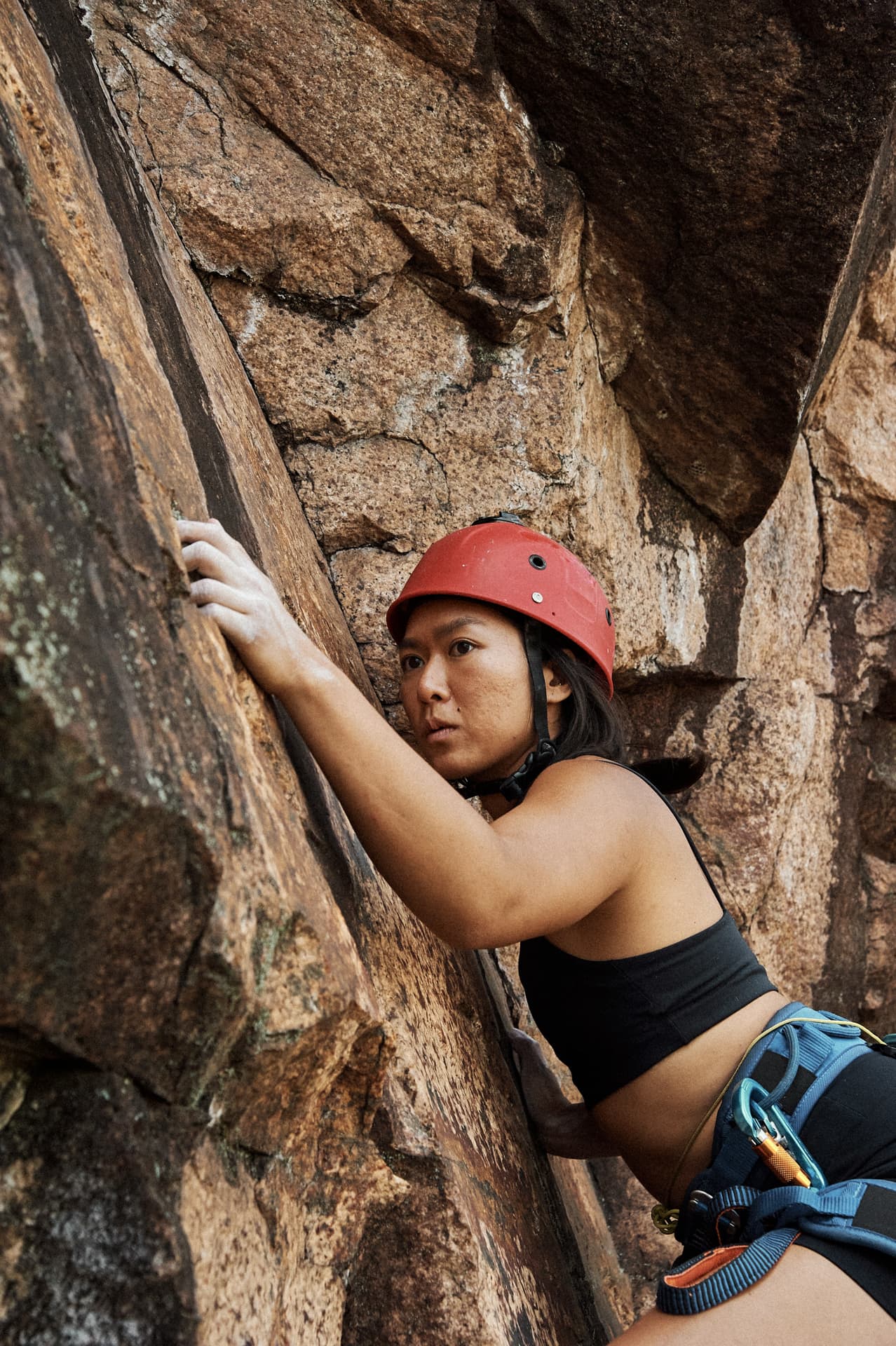 Climbing & Open Gym image