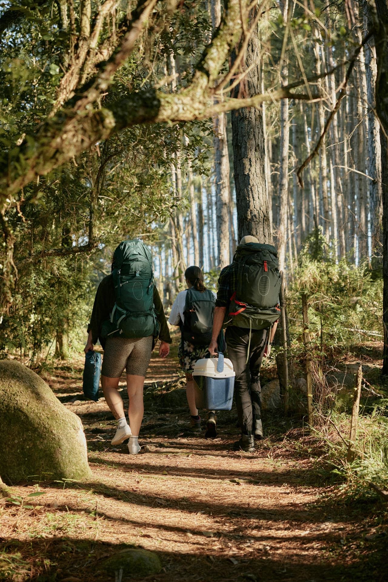 Hike image