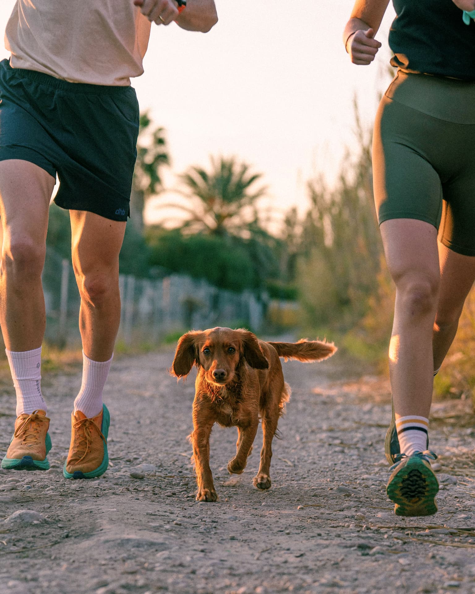 Trail Run image