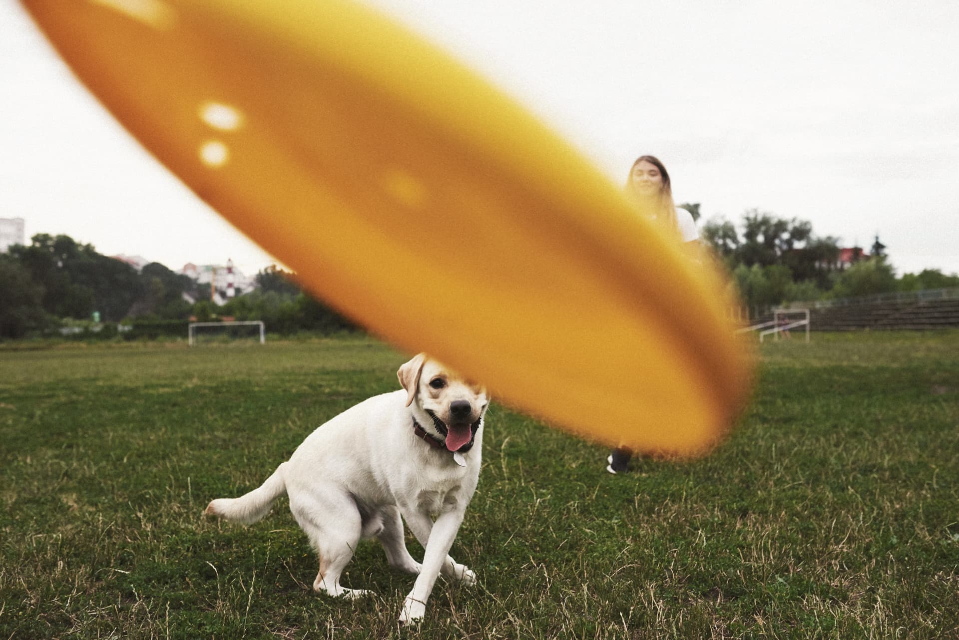 Ultimate Frisbee image