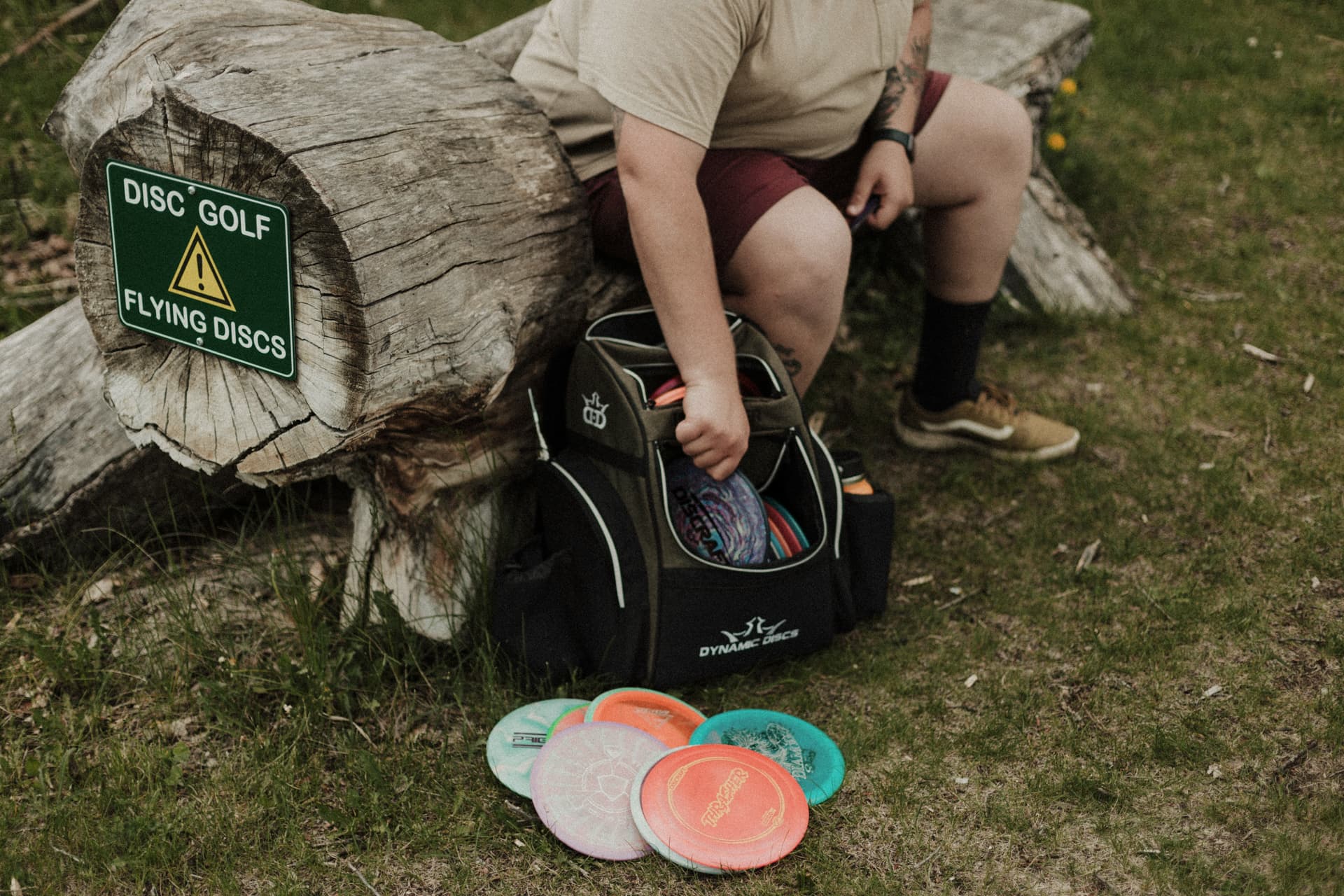 Frisbee Golf image