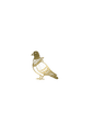 The Polished Pigeon 