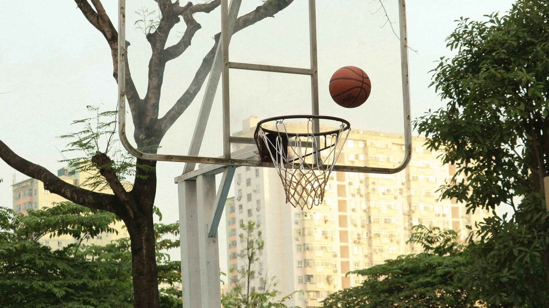 Basketball