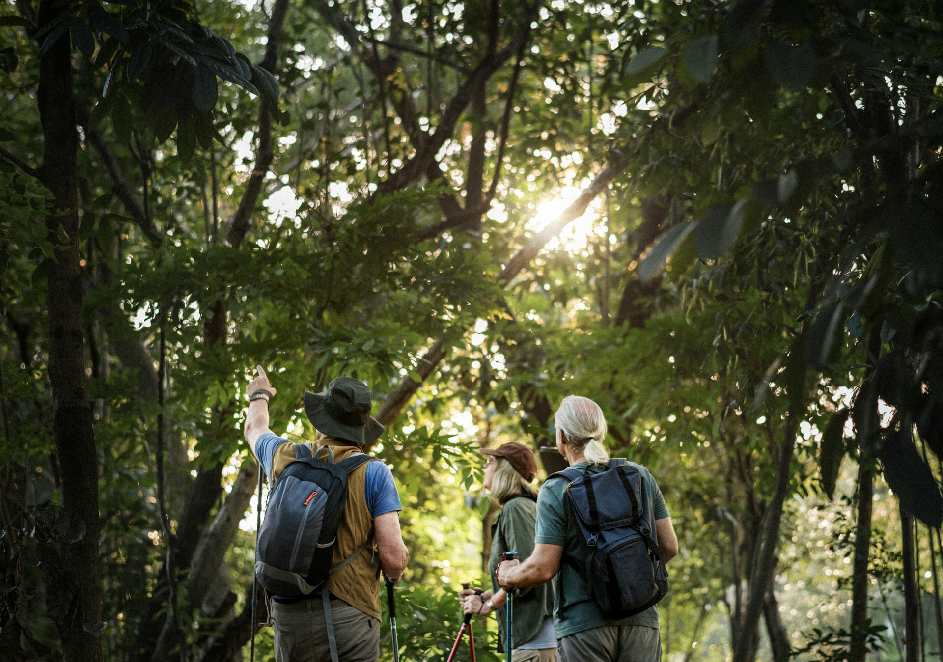 Hike image