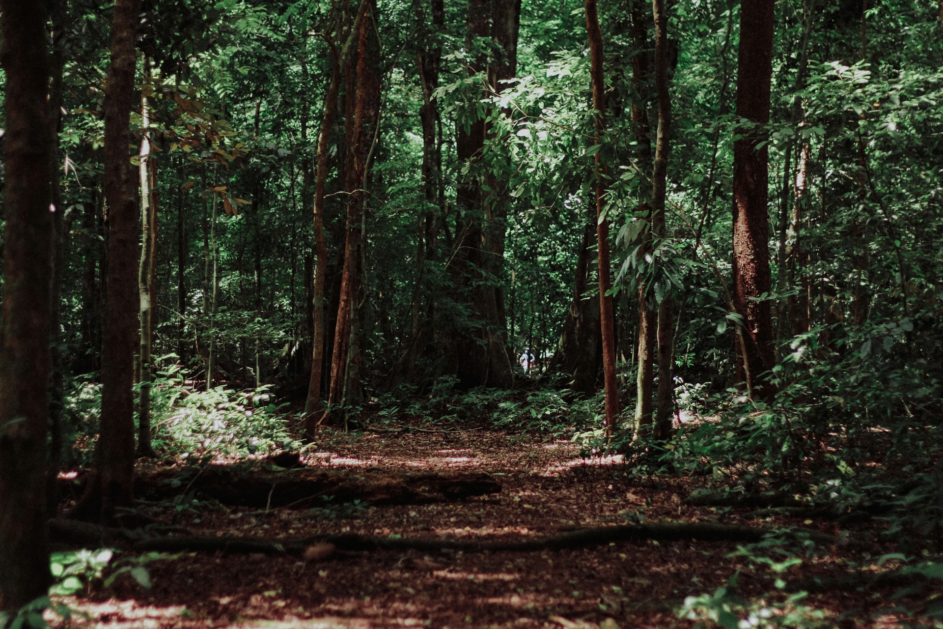 Group Hike image