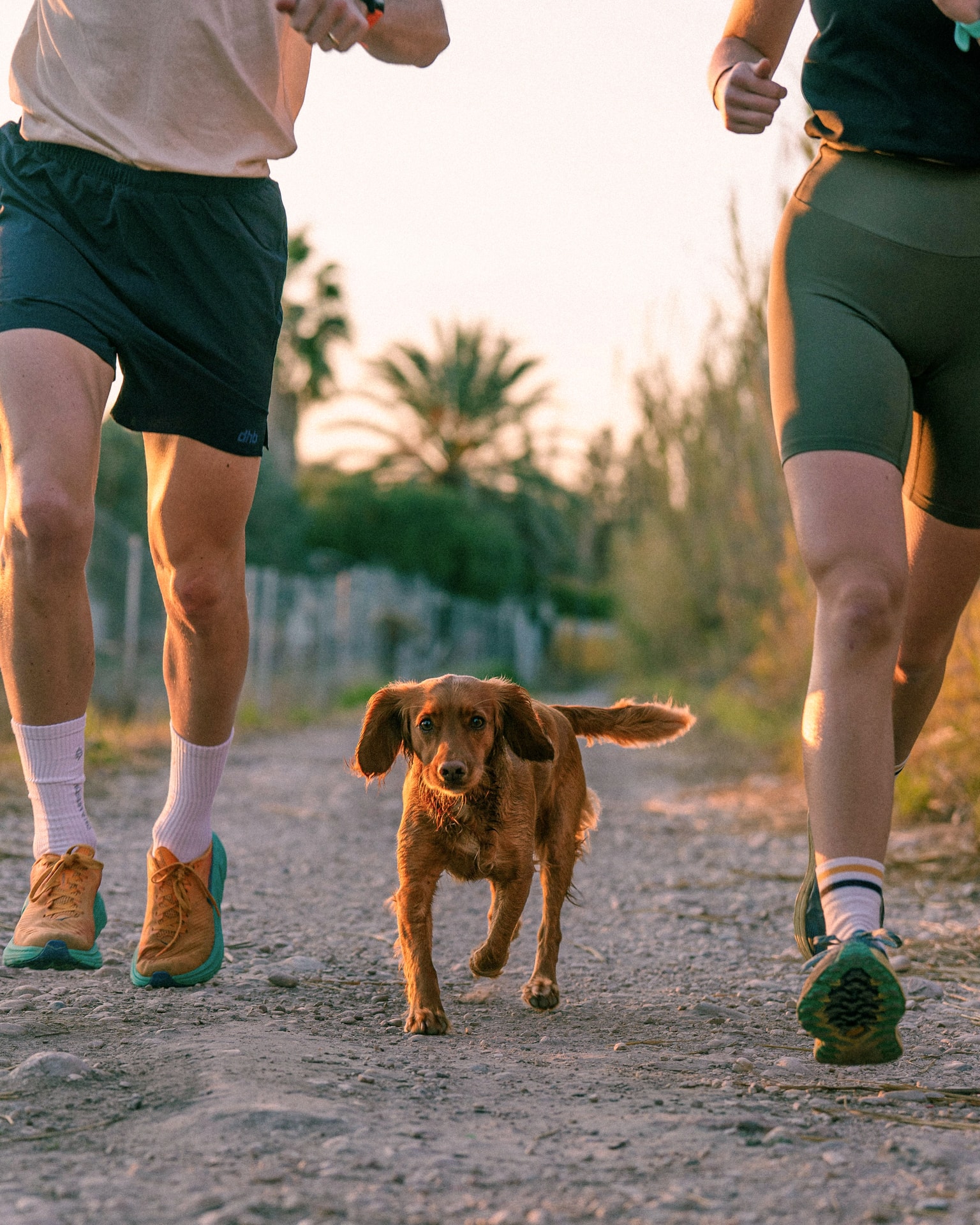 Trail Run image