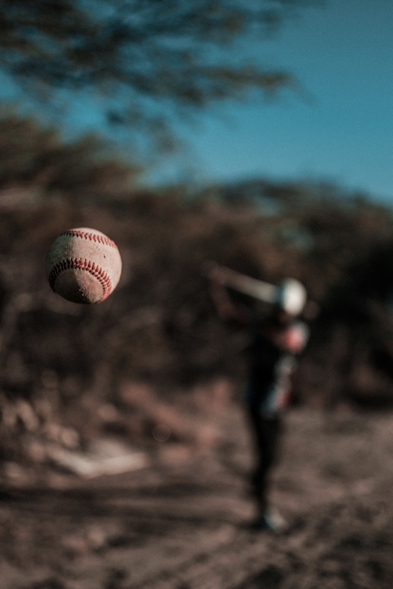 Batting Cages image